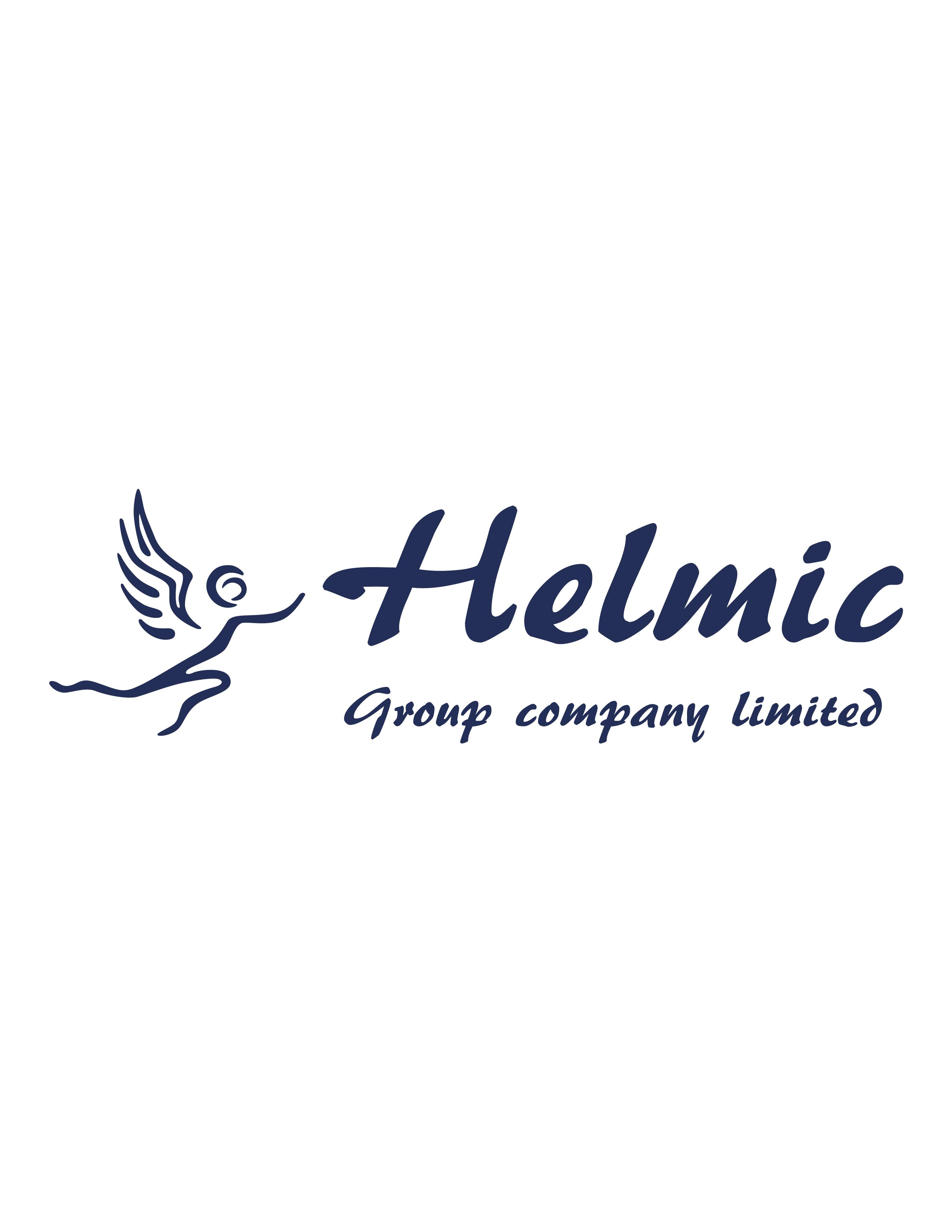 Helmic Group Company Limited